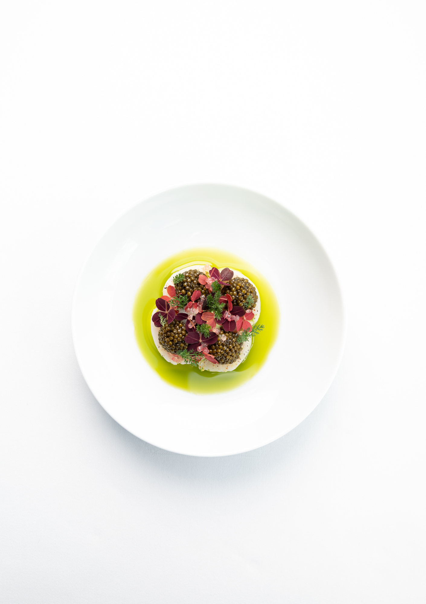 Un dîner de Saint-Valentin d'exception à bord de Ducasse sur Seine